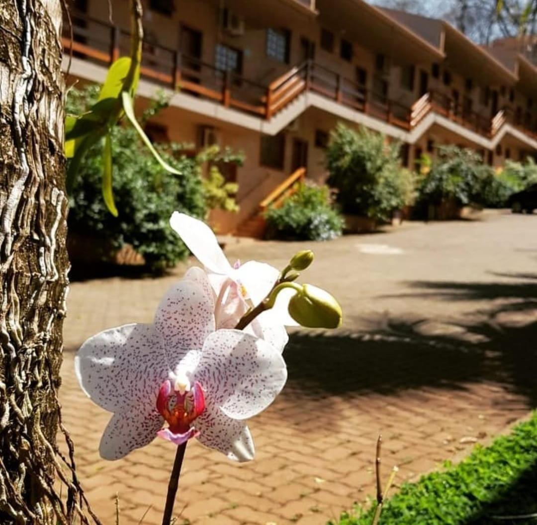 Hotel Pousada Santa Rita Ribeirão Preto Eksteriør billede