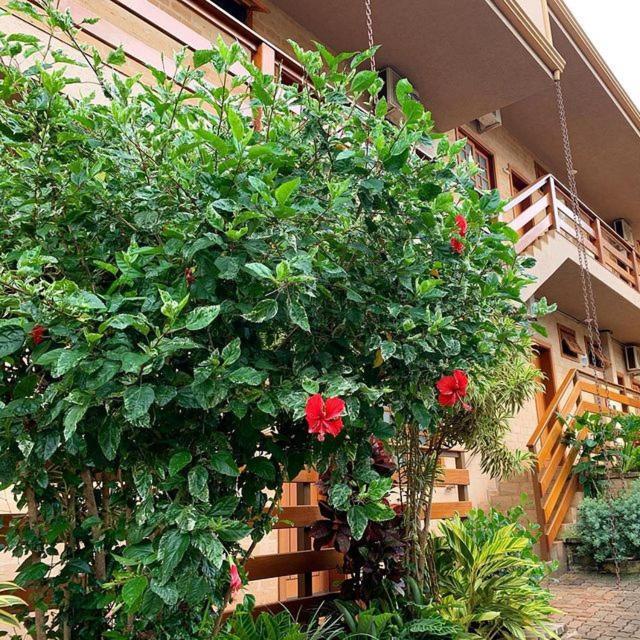 Hotel Pousada Santa Rita Ribeirão Preto Eksteriør billede